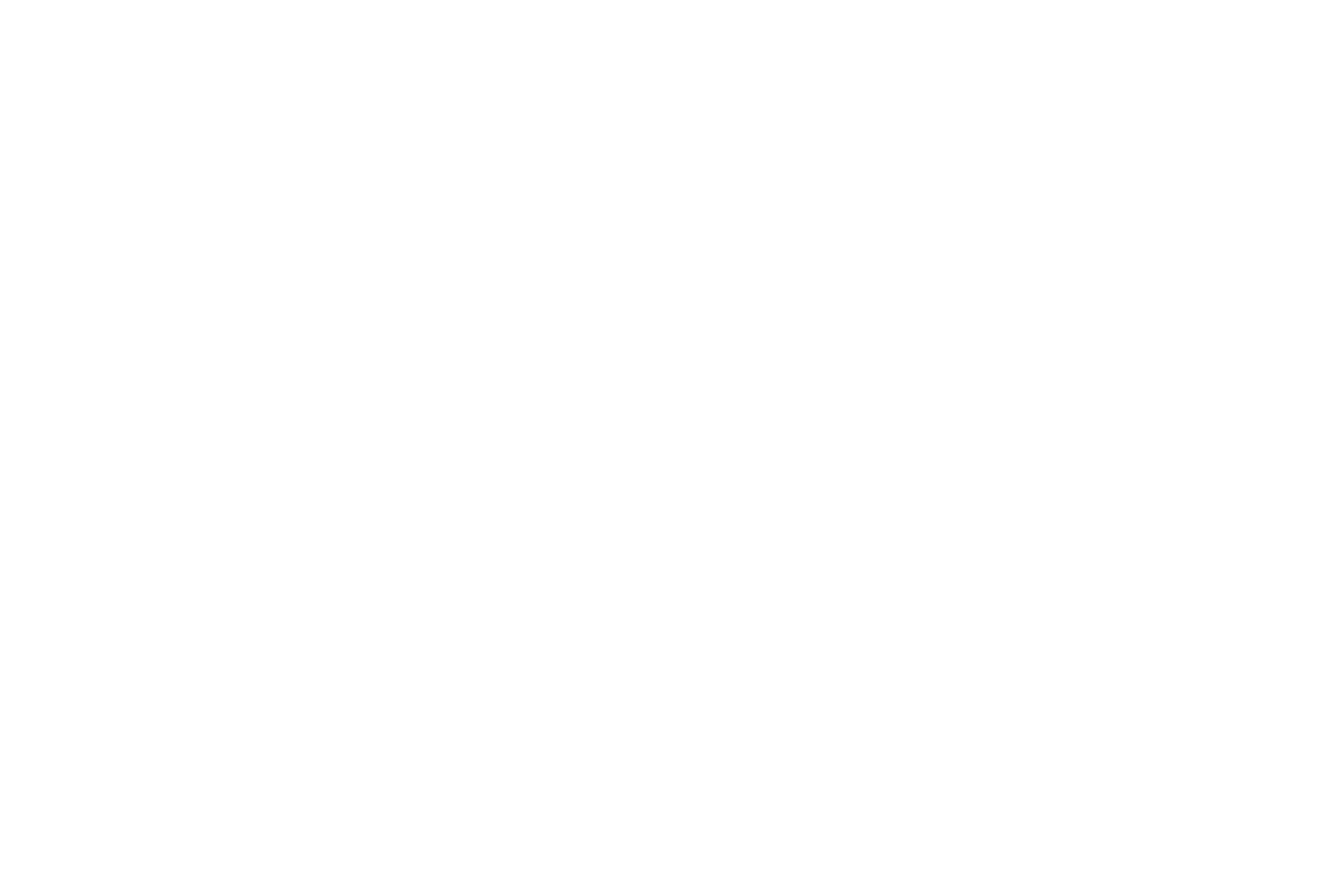 Logo AFYS